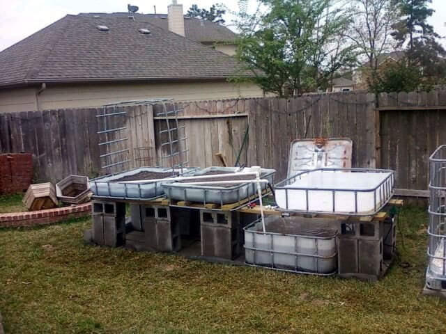 outdoor aquaponic garden