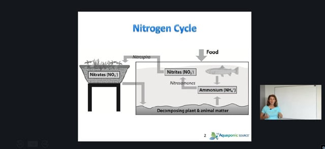 aquaponic gardening ecourse