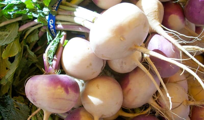 Turnips