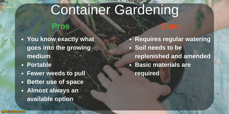 Container Gardening Graphic