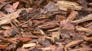Pine bark mulch
