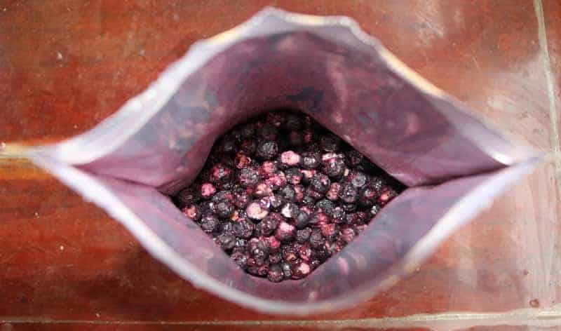 freeze dried blueberries
