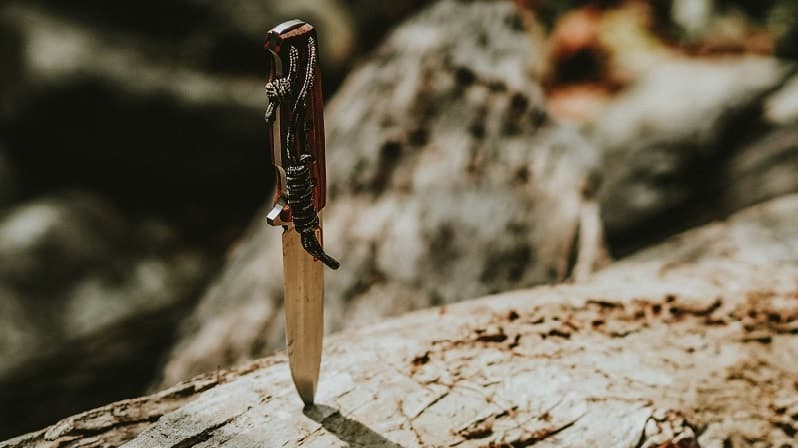 Self defense knife in log