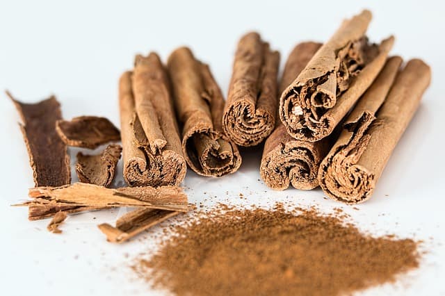 cinnamon natural antibiotic