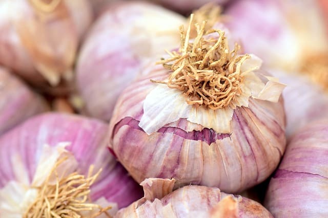 allicin in garlic