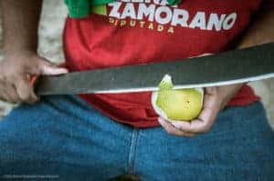 machete peeling fruit