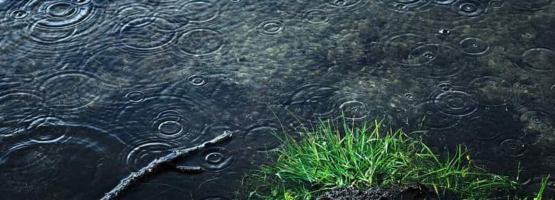 rainfall on lake