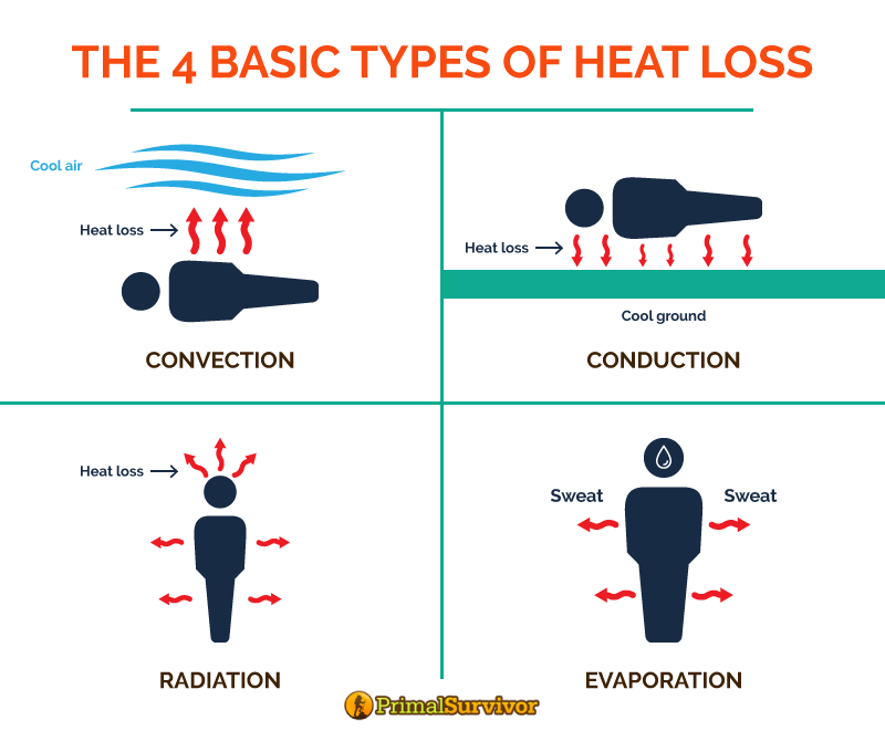 heat loss graphic