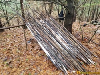 shelter roof