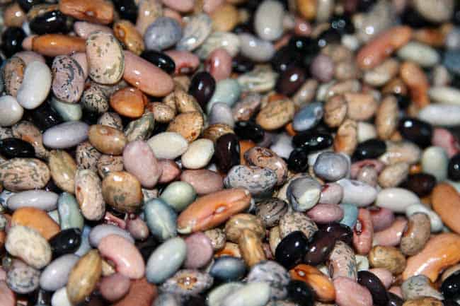 beans image