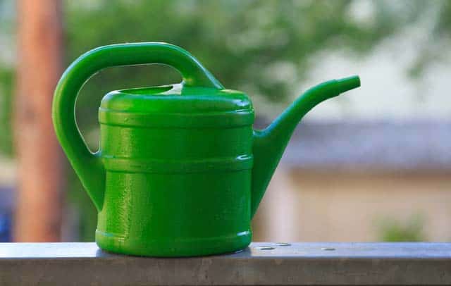 watering can lota