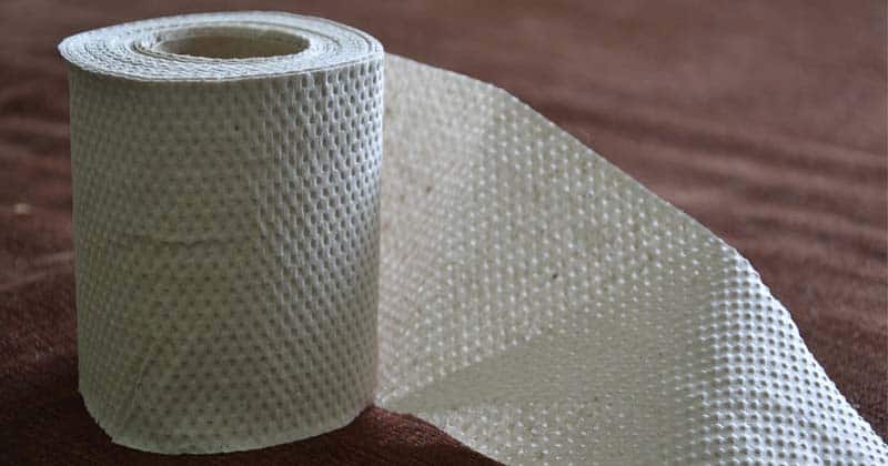 toilet paper alternatives