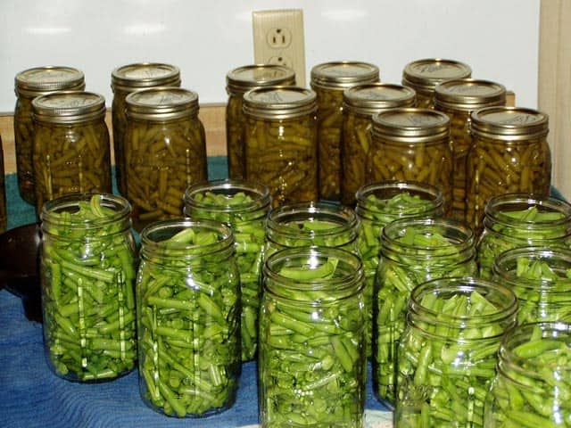 Vinegar pickling