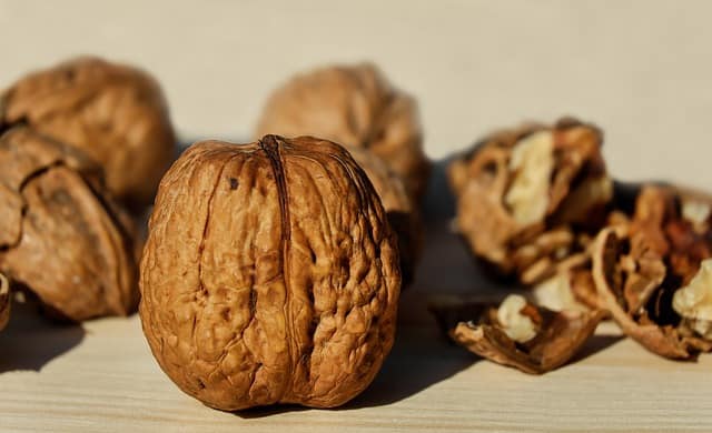 walnuts shelf life