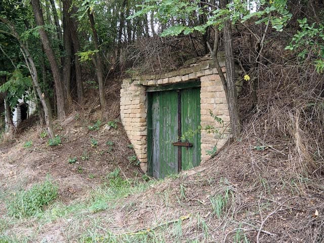 types of root cellars