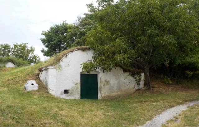 in hill root cellar