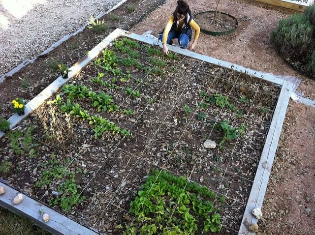 80 sq foot garden