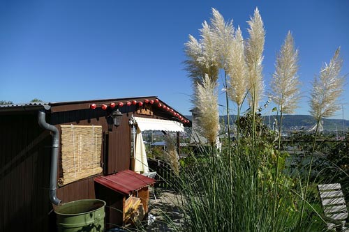 off grid home with rainwater harvesting outside of city limits