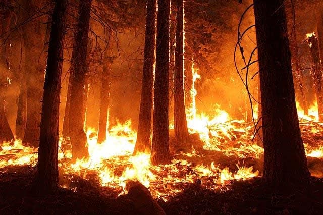 wildfire and heat waves