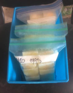 frozen eggs organized in baggies