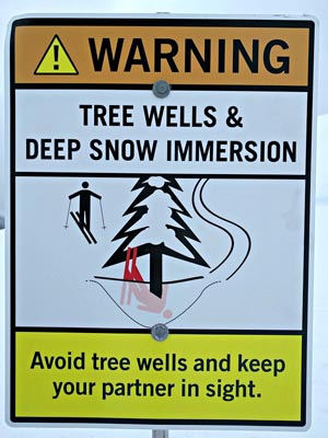 tree well dangers