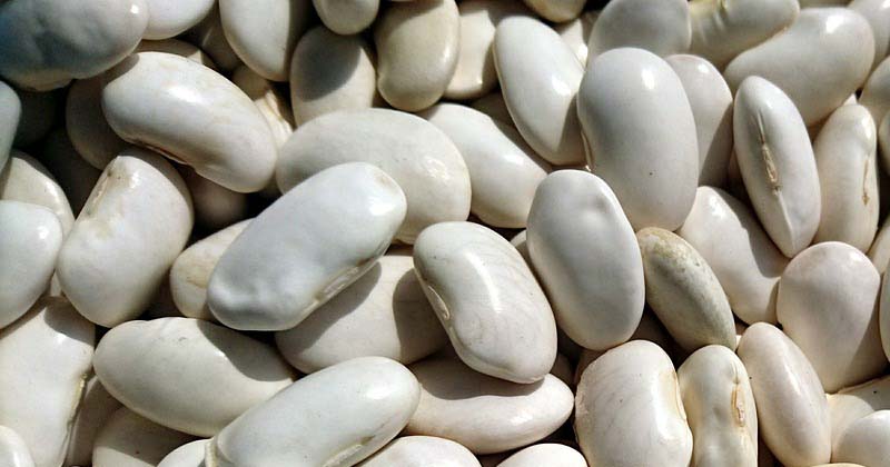 how to store dry beans