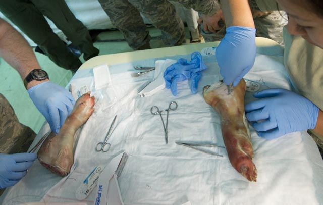 Medics learning to suture on pig feet