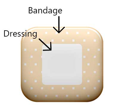 bandage vs dressing