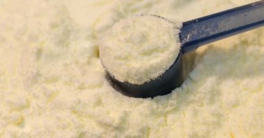 How to Make Powdered Milk at Home (with and without a dehydrator)