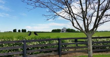 Kentucky Off-Grid Laws – An In Depth Guide