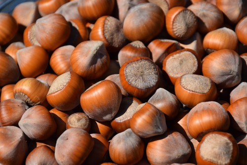 unshelled nuts have longer shelf life