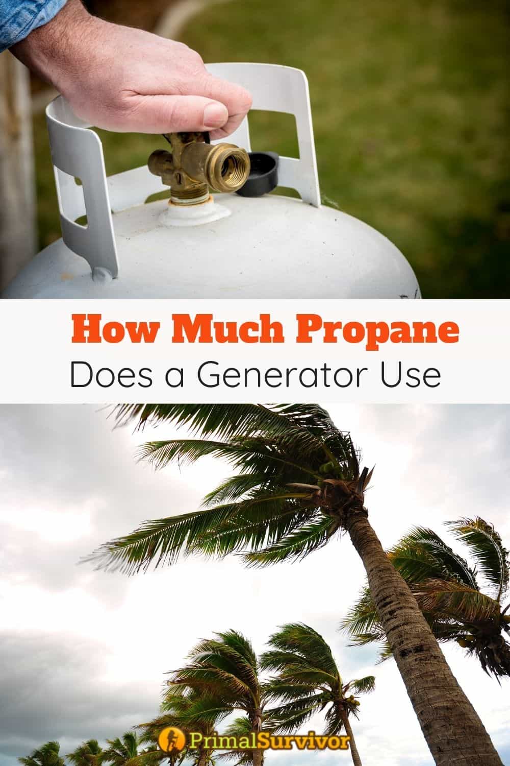 How Much Propane Does a Generator Use Consumption Calculator