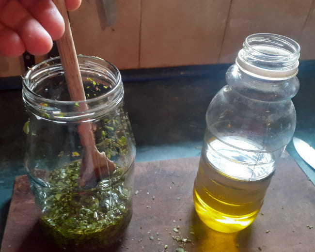 How To Make Oregano Oil (With Recipe and Pictures)