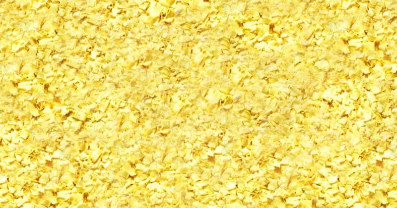 How to Store Cornmeal Long-Term and Does Cornmeal Go Bad?