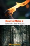 DIY torch and a forest