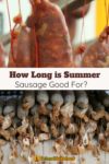 Summer Sausages