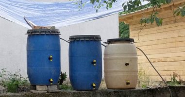 How to Collect Rainwater without Gutters or a Roof (with Pictures)
