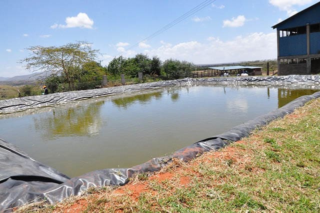 How to Collect Rainwater without Gutters or a Roof  Rainwater-pond-min