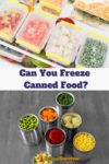 frozen food and canned food