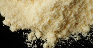 Best Powdered Milk: Dry Milk for Long Term Storage