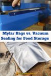 vacuum sealer and mylar bag