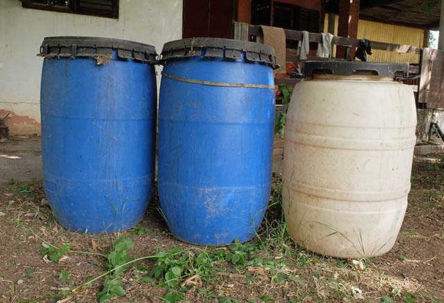 barrels for rainwater harvesting