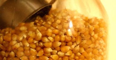 Do Popcorn Kernels Go Bad? Long-Term Storage Options and Shelf Life