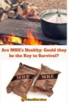 Pot over a fire and MRE's