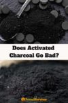 pieces of activated charcoal