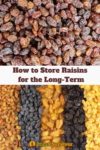 lots of raisins