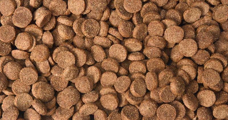 how to store dog food long term