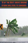 Palm tree blowing in the heavy wind and rain