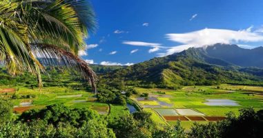 Hawaii Off Grid Laws: An In-Depth Guide