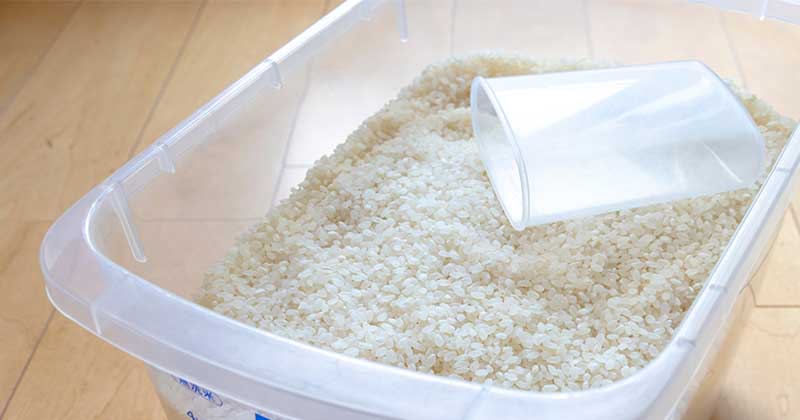 best rice storage containers